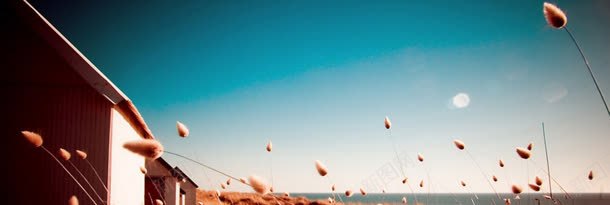 房地产广告banner创意jpg设计背景_88icon https://88icon.com 城市 宣传 建筑群 房子 湖海 街道 野草