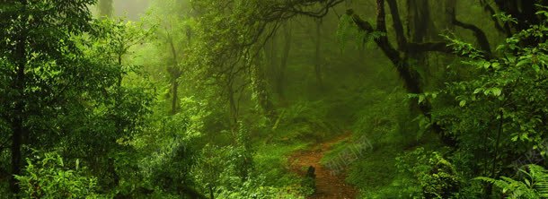 清新背景背景