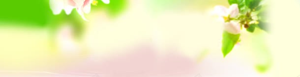 清新绿色唯美海报背景jpg设计背景_88icon https://88icon.com 光线 天猫 广告背景 时尚 海报背景 淘宝 清新 温馨 炫彩 玫瑰花 绚 绚丽 花卉 花朵 花朵背景