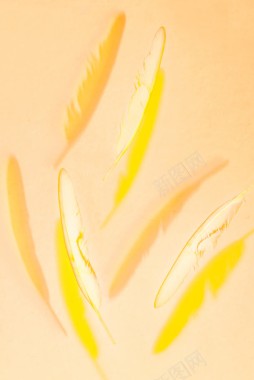 黄色飘落的羽毛海报背景背景