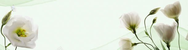淘宝清新海报jpg设计背景_88icon https://88icon.com 化妆品 毛巾 毛巾海报PSD 海报模版 淘宝广告banner 清新 清新海报 美女模特 花素材 设计