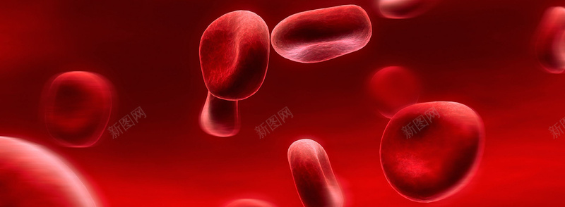 红细胞背景图背景
