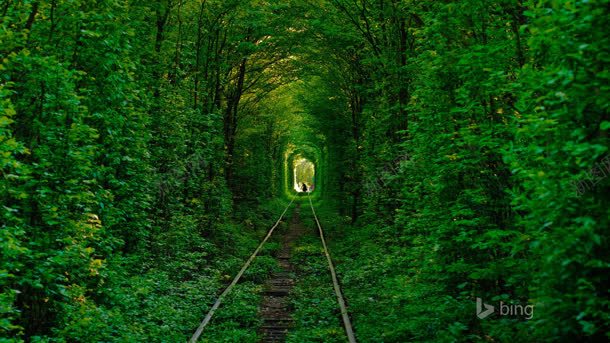 绿色藤蔓通道火车道海报背景背景