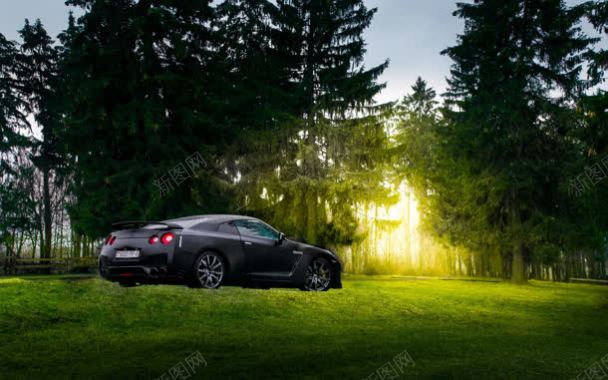 汽车奔驰在绿色森林草地海报背景背景