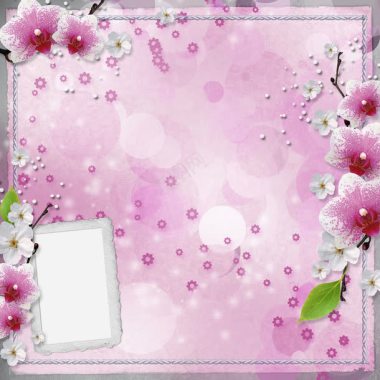 浪漫粉红花朵背景背景