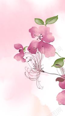 彩绘粉红色花朵水墨彩绘风格背景