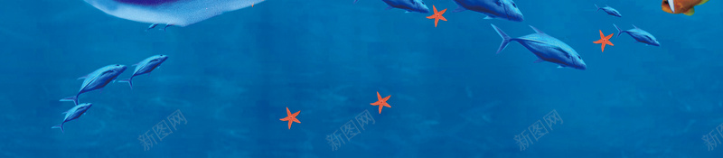 奇妙海洋海底世界海报psd设计背景_88icon https://88icon.com 水族馆 海底世界 海星 海洋 海洋生物 海豚 深海鱼 热带鱼 蓝色 贝壳 鲸鱼