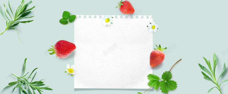 初夏简约绿色树叶bannerpsd设计背景_88icon https://88icon.com anner banner 促销 初夏 叶子 打折 服装 树叶 电商 简约 红色 绿色 草莓