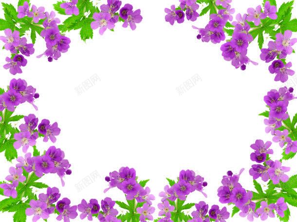 漂亮花朵边框jpg设计背景_88icon https://88icon.com 图片素材 漂亮 漂亮花朵边框高清图片图片 漂亮花朵边框高清图片图片素材下载 背景花边 花朵边框 花边 边框 边框相框 高清图片