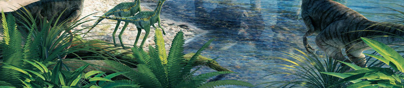 创意侏罗纪世界2海报psd设计背景_88icon https://88icon.com 侏罗纪世界2 侏罗纪公园 侏罗纪大冒险 原始森林 恐龙主题海报 恐龙乐园 翼龙 远古大冒险 霸王龙