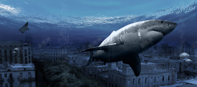 深海鲨鱼海景psd设计背景_88icon https://88icon.com 商务 建筑 海底世界 海报banner 海洋 科幻 科技 酷炫 鲨鱼