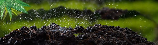 雨鞋背景bannerjpg设计背景_88icon https://88icon.com 树枝 泥土 绿色 雨露
