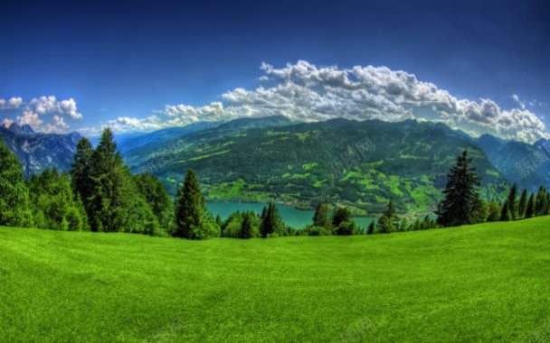 绿色的草地蓝天白云海报背景背景