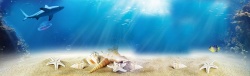 海螺与沙子图片海底banner高清图片