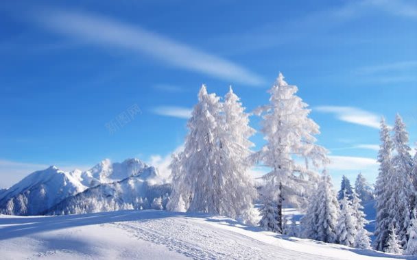 蓝色白云雪后树林背景