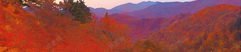 北京旅游香山枫叶海报psd设计背景_88icon https://88icon.com 山林 旅游 枫叶 深秋 秋季 秋日 红叶 红枫 金秋 香山 香山红叶