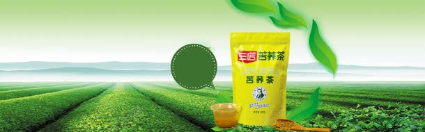 现代茶叶文化bannerjpg设计背景_88icon https://88icon.com 古典 广告 茶 茶具 茶叶 茶叶海报 茶园 行业网站