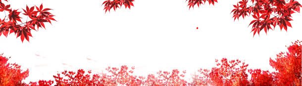 枫叶背景背景