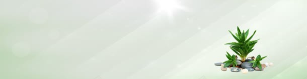 清新立体光线背景bannerjpg设计背景_88icon https://88icon.com banner 光线 清新 石头 立体 背景 芦荟