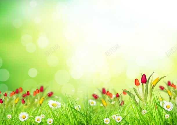 草地上盛开的野花jpg设计背景_88icon https://88icon.com 其它类别 图片素材 星光 梦幻 绿色 背景花边 草地 草地上盛开的野花图片 草地上盛开的野花图片素材下载 野花