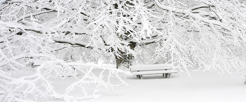 唯美公园冬日雪景风景海报背景图背景