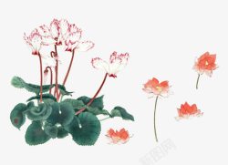 手绘中国风花朵素材