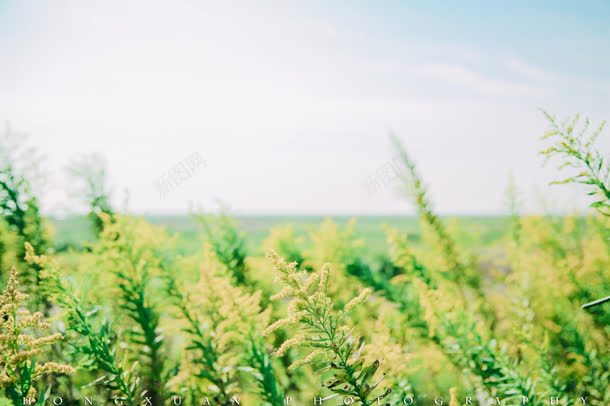 天猫店铺自然风景jpg设计背景_88icon https://88icon.com 店铺 自然 风景