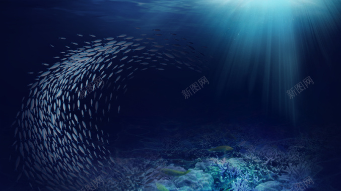 深海鱼群背景图背景