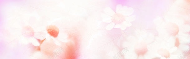花瓣与枫叶jpg设计背景_88icon https://88icon.com 枫叶 花瓣