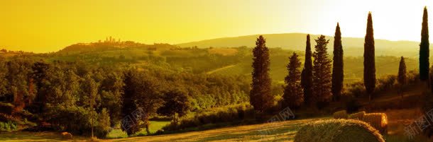 草原banner创意背景