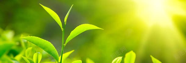 国庆节banner创意jpg设计背景_88icon https://88icon.com 1920PX 促销 国庆 新款 月饼 活动 淘宝 环保 风景