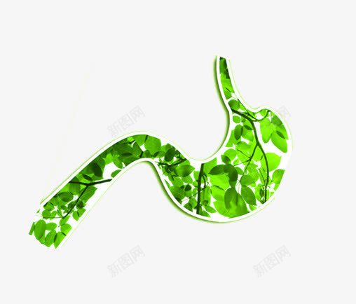 肠胃健康png免抠素材_88icon https://88icon.com 健康的胃 养胃 图片 绿色