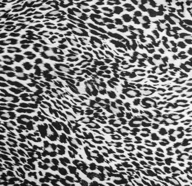 黑白色漂亮的豹纹背景