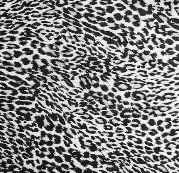 黑白色漂亮的豹纹jpg设计背景_88icon https://88icon.com 动物皮毛 图片素材 底纹背景 漂亮的豹纹 背景素材 背景花边 豹皮背景 黑白色 黑白色漂亮的豹纹图片 黑白色漂亮的豹纹图片素材下载