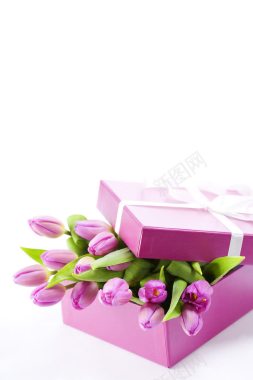 粉色礼盒花语物语背景