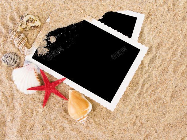 沙滩上的相片jpg_88icon https://88icon.com 图片素材 摄影图库 沙子 沙滩 沙滩上的相片图片 沙滩上的相片图片素材下载 沙滩摄影 沙滩素材 海星 相框 相片 背景花边 贝壳 贝壳摄影 贝壳素材 边框相框