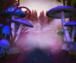 框子中的蘑菇森林中的蓝色蘑菇高清图片