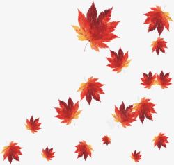 红枫叶素材