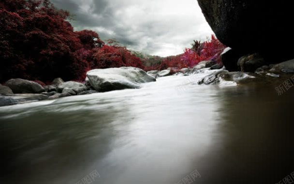 白云花树叶河流山峰背景