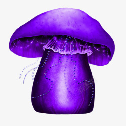 漂亮小蘑菇蓝紫色蘑菇高清图片