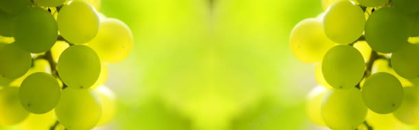 葡萄背景