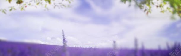 紫色浪漫薰衣草护肤品背景banner背景