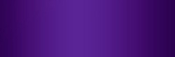 纯紫色式店铺承接页素材