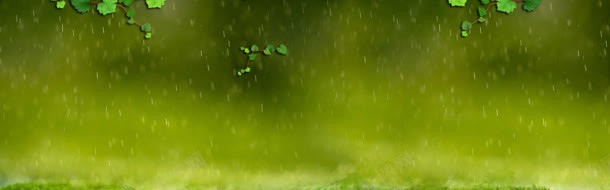 山虎雨苔藓横幅绿色jpg设计背景_88icon https://88icon.com 微观植物 横幅 绿色 苔藓