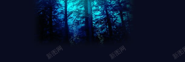 深色光线树林梦幻背景banner背景