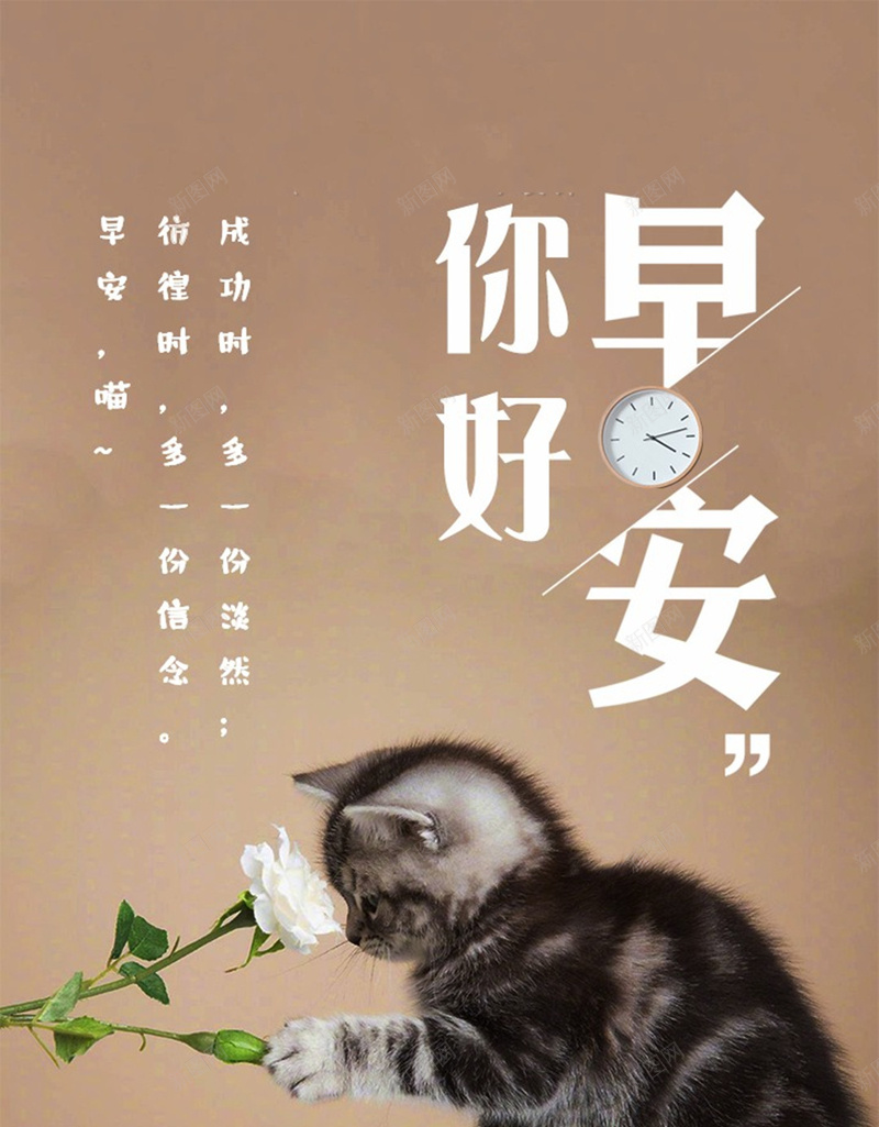 早安猫咪心语图jpg设计背景_88icon https://88icon.com 图 小清新 日签 早安 早安图 猫咪