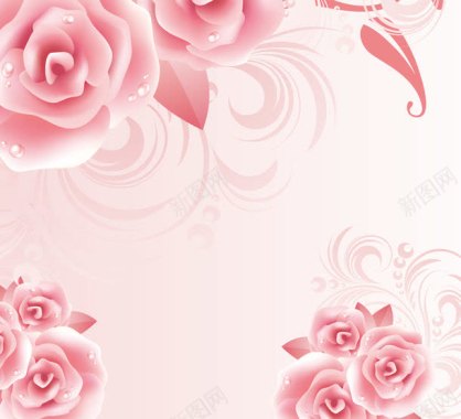 玫瑰花卉水珠背景背景