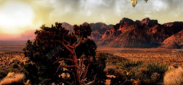 天空自然风光背景jpg设计背景_88icon https://88icon.com 大树 天空 植物 自然风光