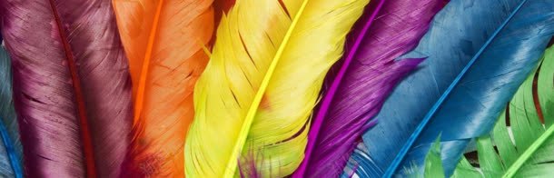 彩色羽毛背景jpg设计背景_88icon https://88icon.com 彩色 素材 羽毛 背景