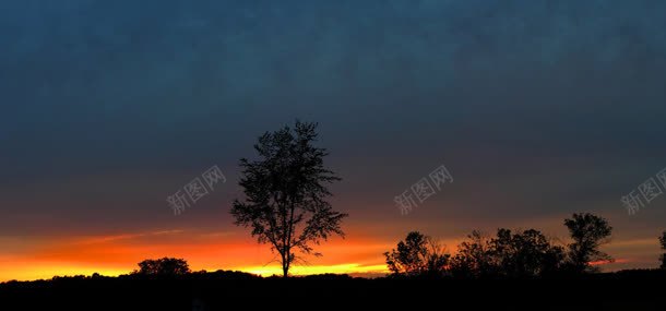 天空树林背景jpg设计背景_88icon https://88icon.com 天空 树林 自然风光